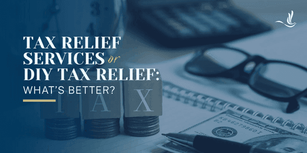 Tax Relief Services or DIY Tax Relief: What’s Better?