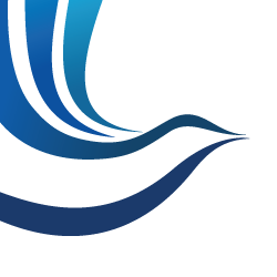 Tax Settlement Services | Optima Tax Relief