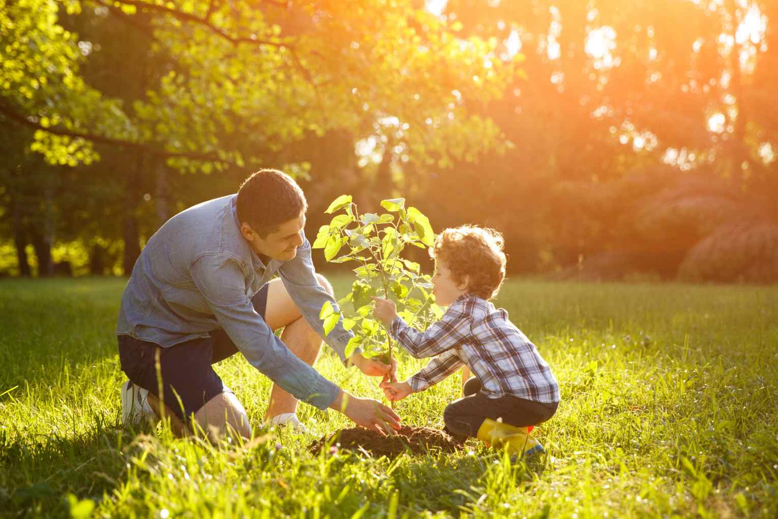 man planting with son
