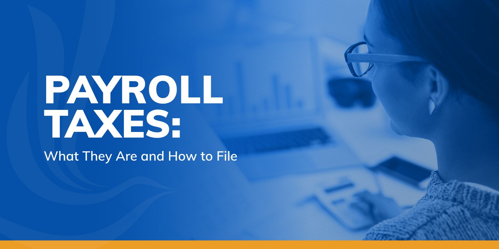 payroll taxes